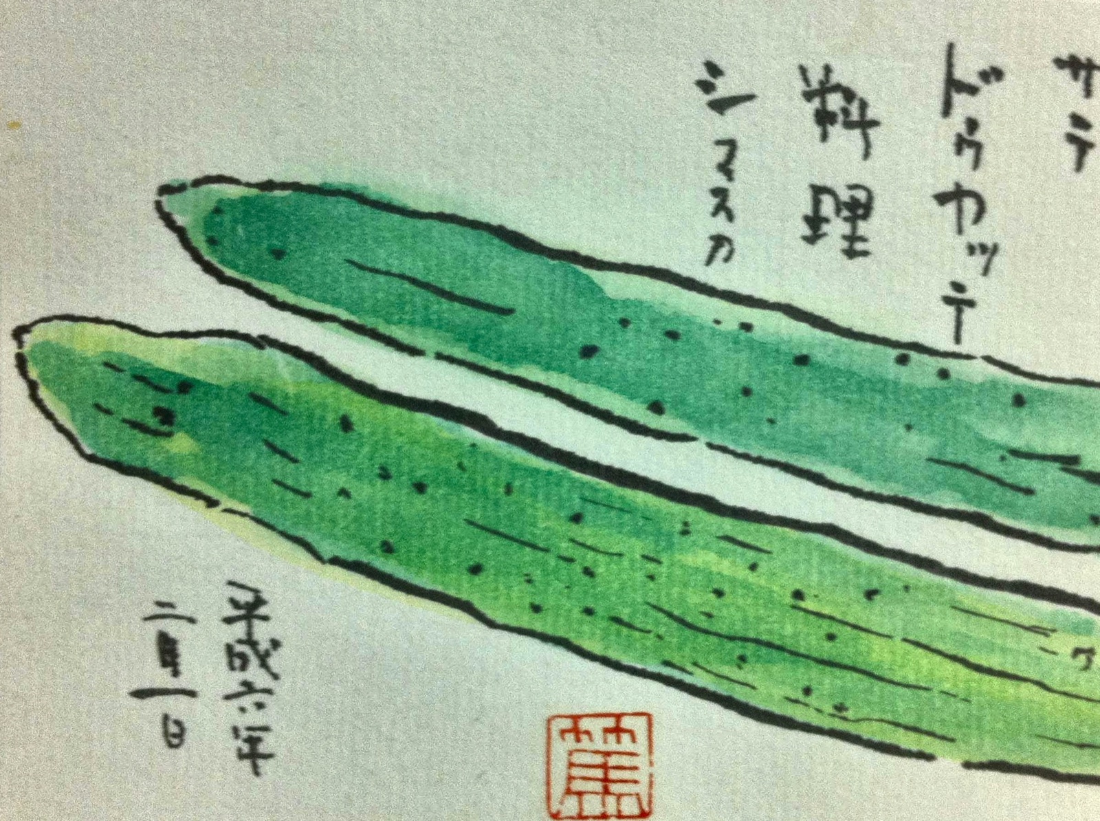 きゅうりを描いた絵手紙