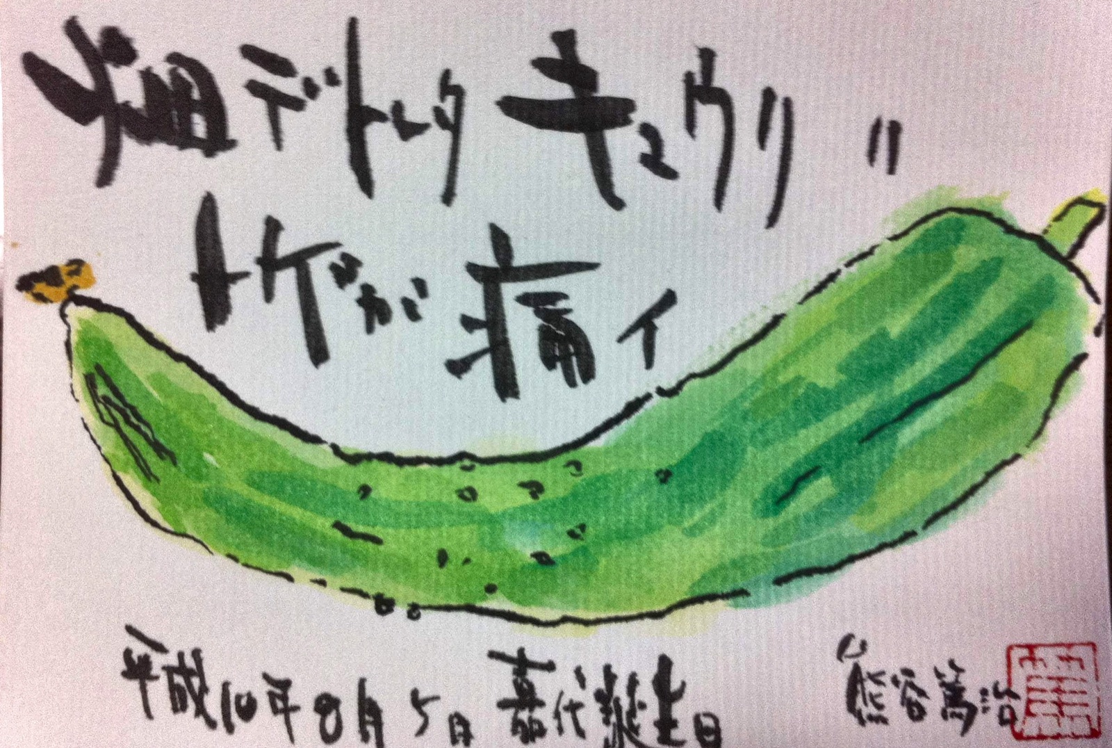 きゅうりを描いた絵手紙