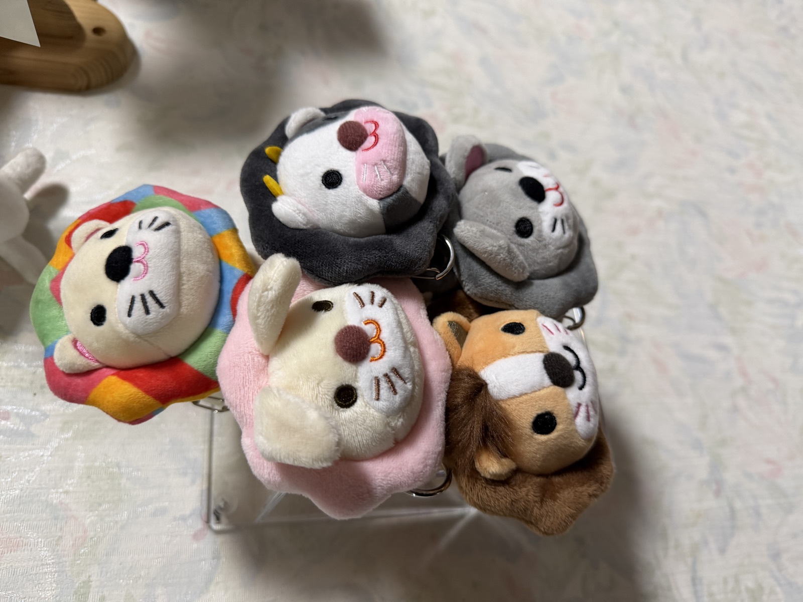 ケースに入ったらいおんぬいぐるみ